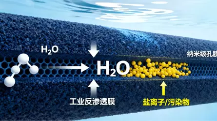 How Do Industrial Reverse Osmosis Membranes Work? — Illustrated Explanation of the Physical Principles of Osmosis and Reverse Osmosis
